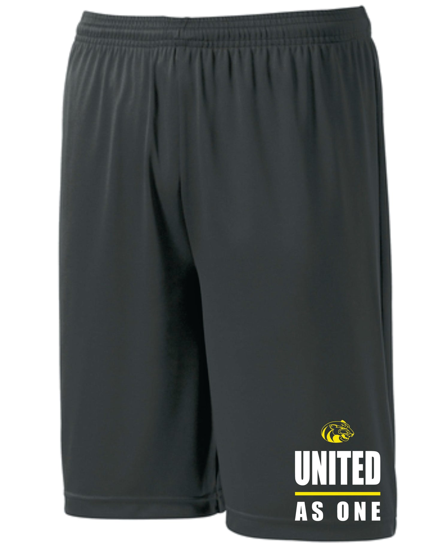 WCMS United As One logo