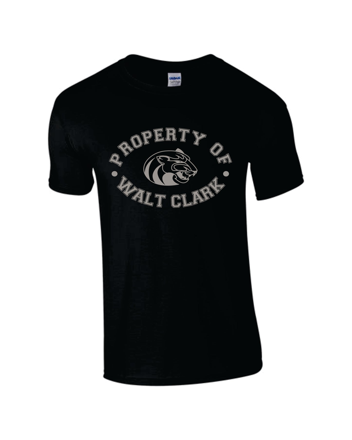 WCMS Property of Walt Clark logo